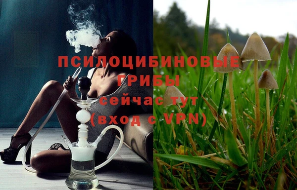 альфа пвп Армянск