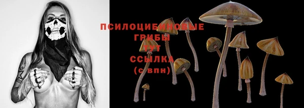 дмт Ростов